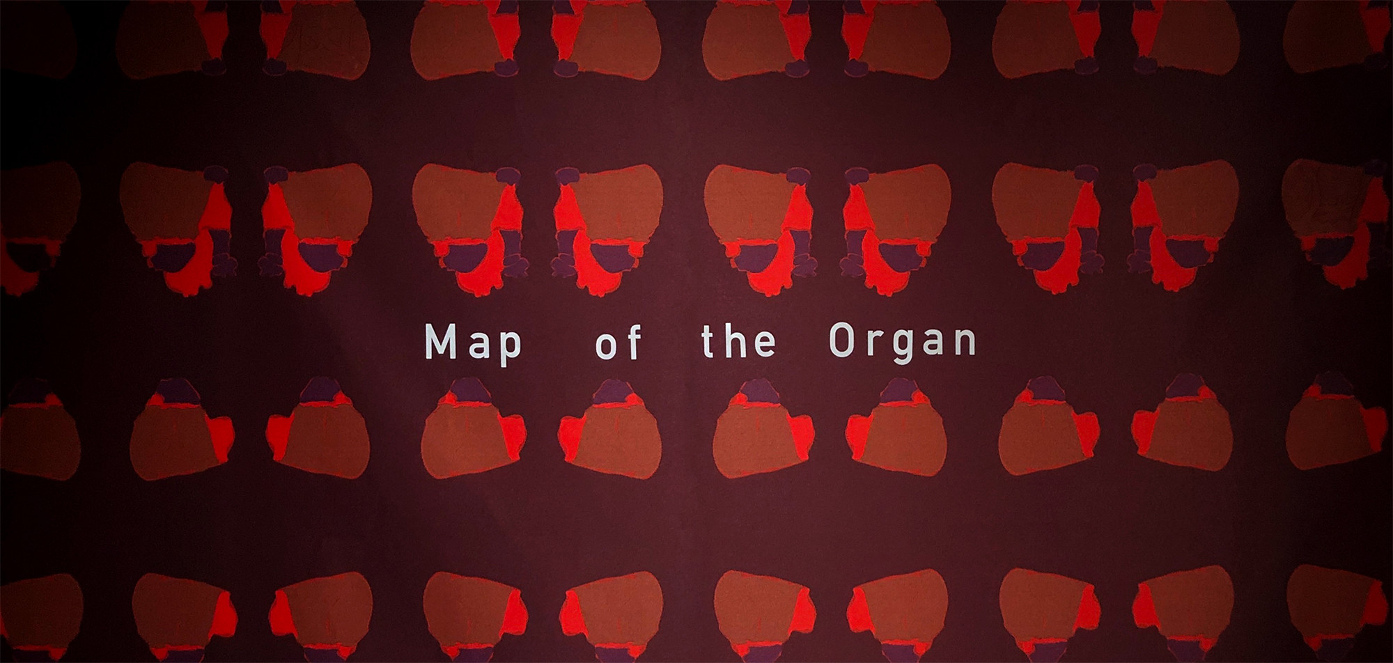臓器の地図